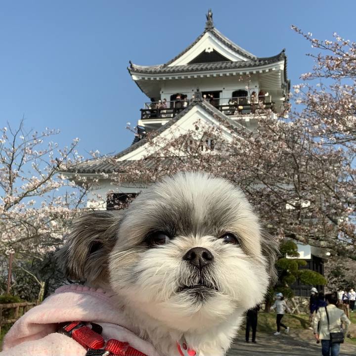 75ec39e5 52db 4222 9084 e3b9b4ae3dc1 1616744678783