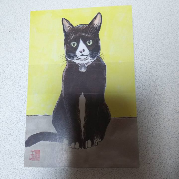 75ec4047 35dd 4a9c b5fe 96a67d2f50fb 1549020107740