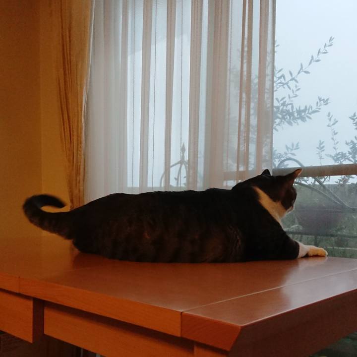 75ec4780 91ca 4307 a278 6d47956c60e4 1524607771693