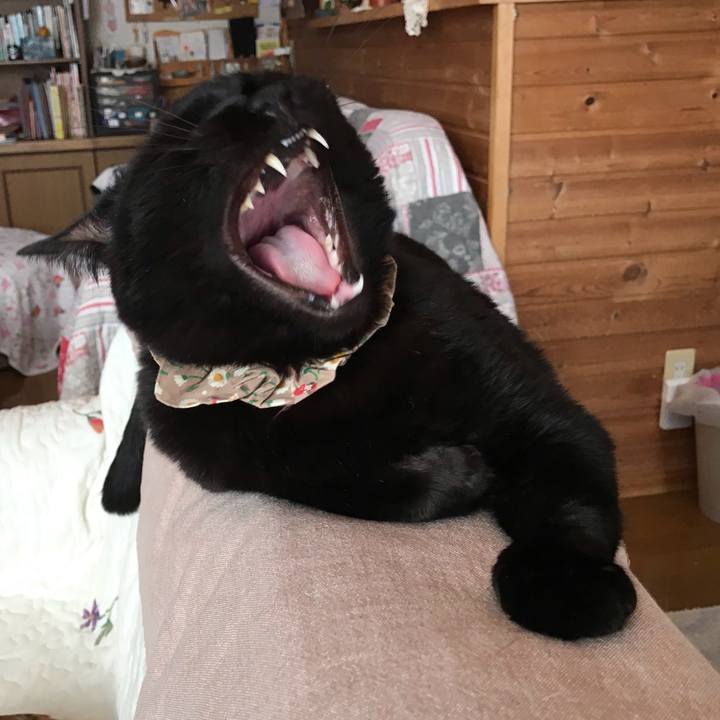 75ec53ab 2073 4b02 bfb7 23e5087216a0 1612732595113