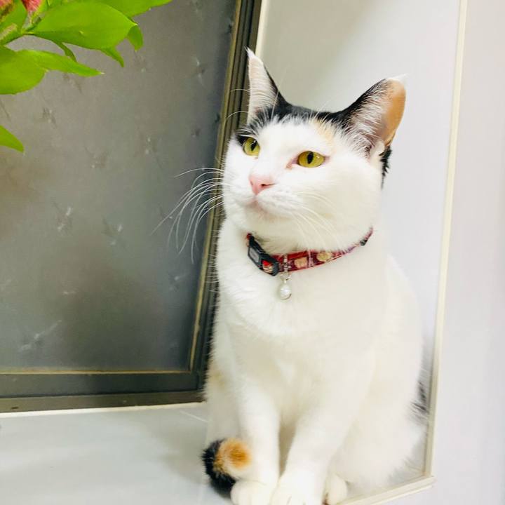 75ec6556 fd6a 4ca0 ac84 40f4ca1cc7f2 1675091705501