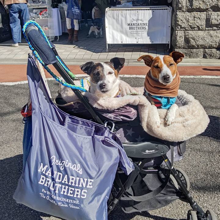 75eca2d1 2b4a 4da6 aaf6 fa1511392639 1677380073524