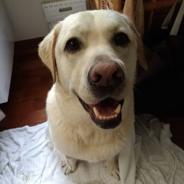 75ecb918 67d6 4eb1 a45c c3465f1746c2 1561283699863