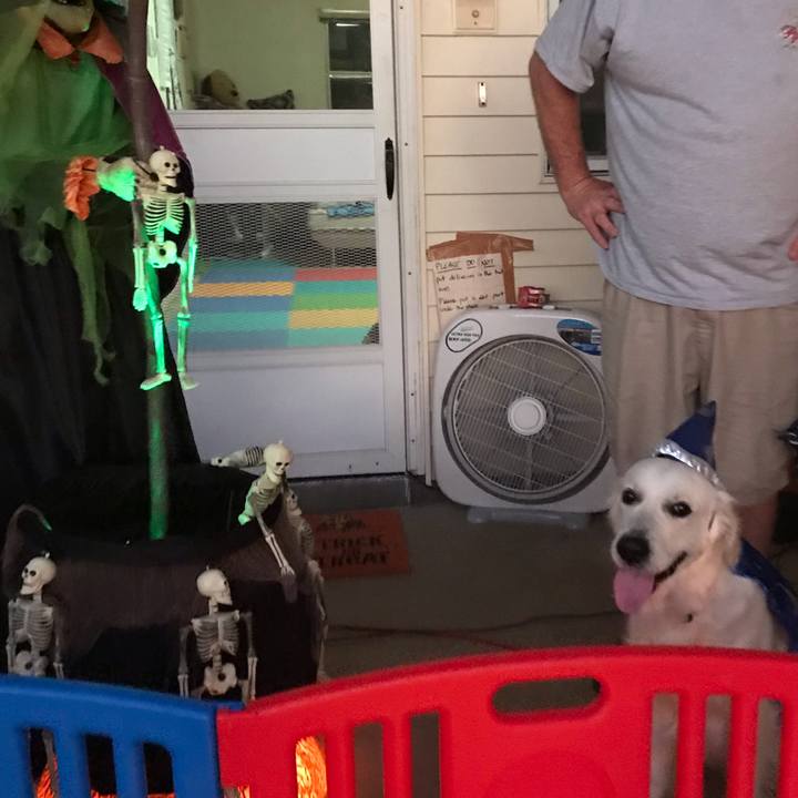 75ecdd79 e991 41f9 bd37 13edb1a23828 1541052475130