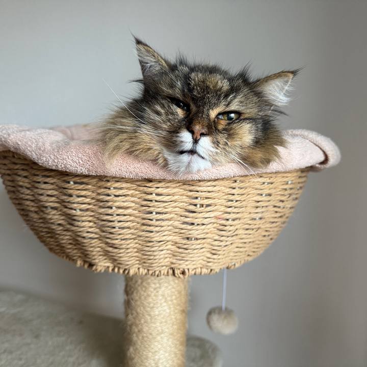 75ecf04d df6c 4176 82aa 95d6f3b3f9af 1770812610232