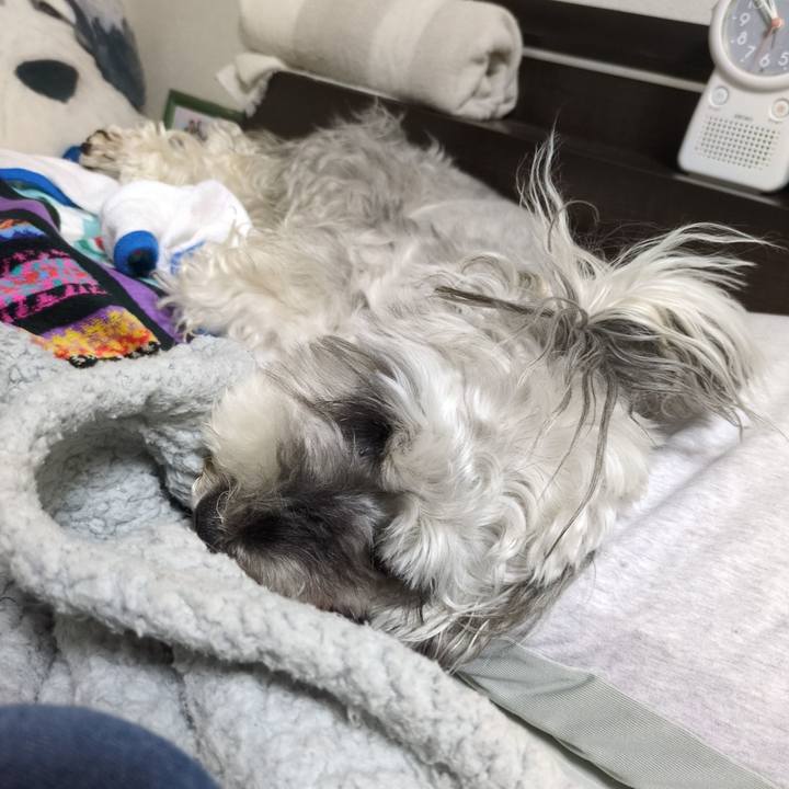 75ecf1f5 9fad 4ffe 82b9 0c42b1ed902f 1758635420951