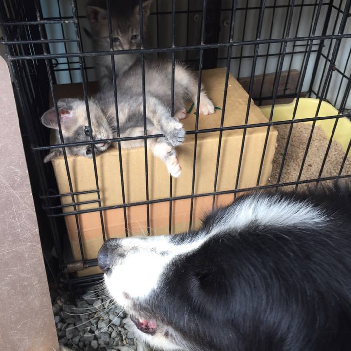 75ed2407 2c57 451d 8d36 4d1823c7a526 1571963750410