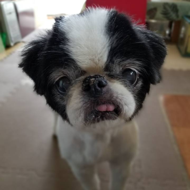 75ed722f ced6 4ade b298 cf14f14eb6bb 1574487301307