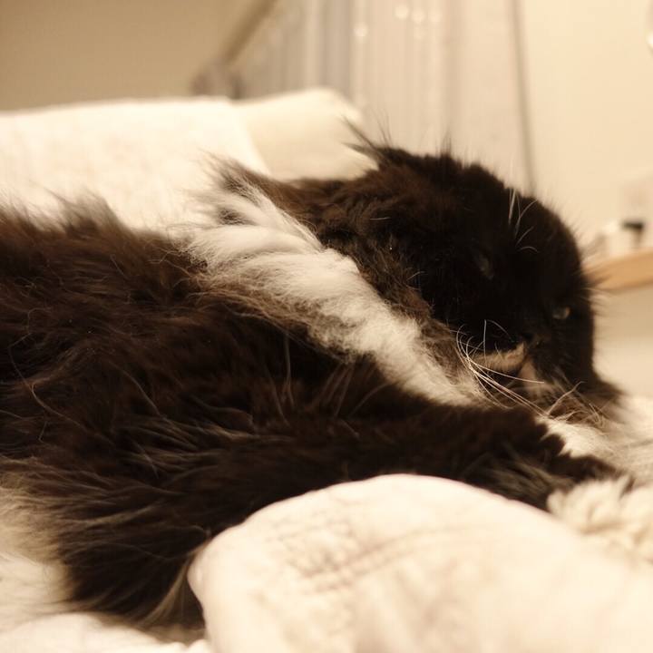 75ed7830 a013 4db7 b74f 25303bd2f2bb 1537975564350