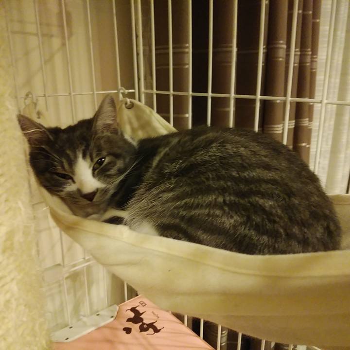 75edab00 afd0 4221 8244 de50a3681302 1576252342833