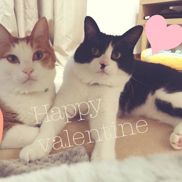 75edf074 dc7c 474e baf0 c1b811fc7083 1518618621178