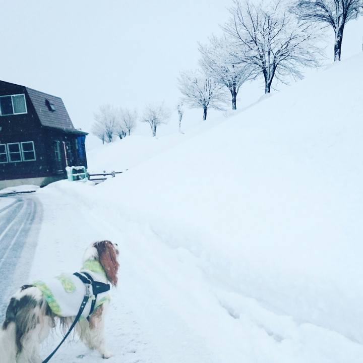 75ee62ad dfc6 4321 98db 38d9cfb292f1 1513723410496