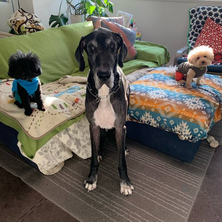 75ee92bc 1d34 4564 a365 3a68203467ca 1573771365556