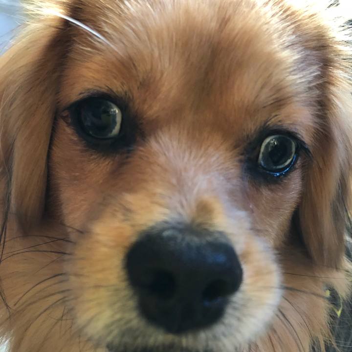 75eea9d0 8413 4100 9ece e2f2ecfc238c 1514940984701