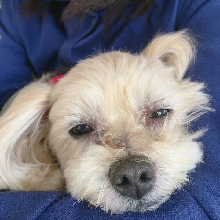 75eeb1fe 0b27 432a 91ed c5658d5dd22b 1553869089117