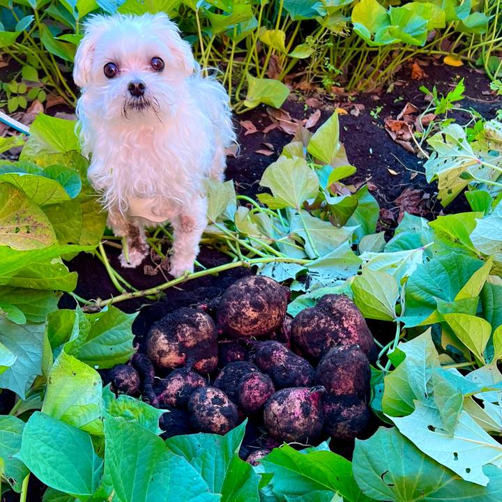 75eec605 1582 4dcd 89fe d09dd8a100ae 1700736449385