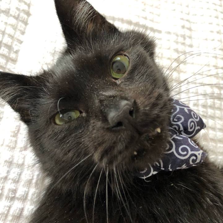 75eee6e8 710e 4924 b320 7ea15576a375 1584655767198