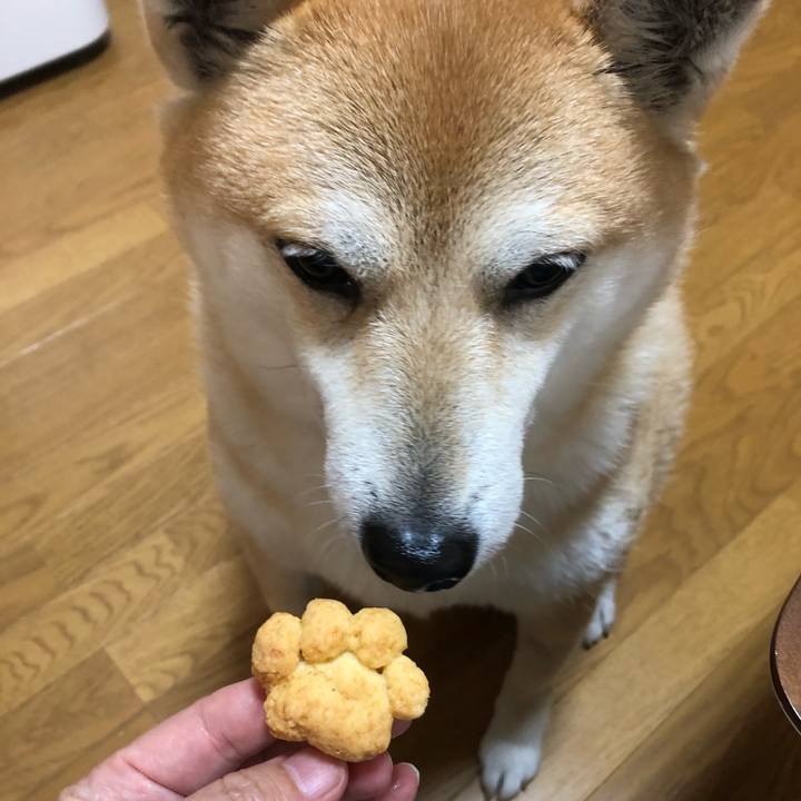 75ef1397 78da 4135 a02d fdea8a33933f 1555400323895