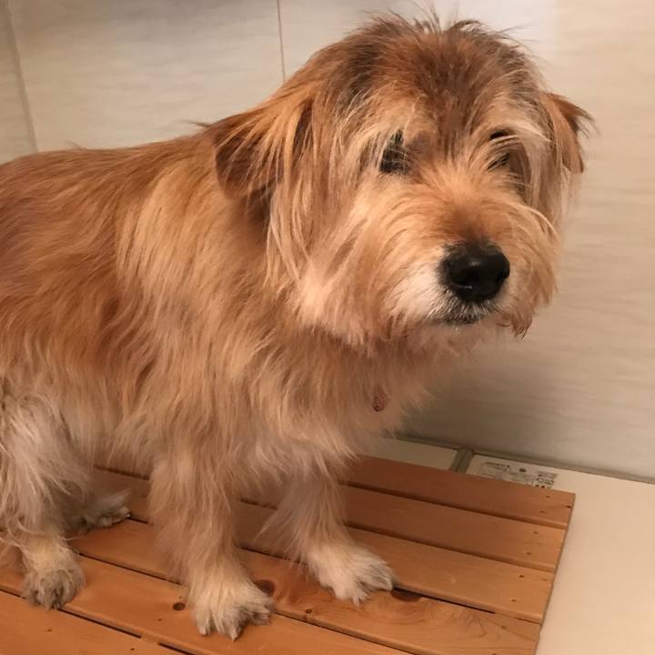 75ef1fd3 72a4 4fcd ab7a 28bd67c8d984 1679202466478