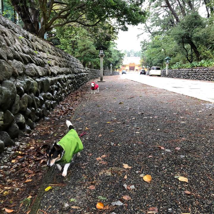 75ef6831 f031 40b7 a100 545f72927497 1536363539815