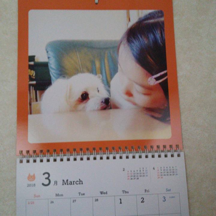 75ef68c3 7782 4c94 a8ec 8fe83313f9c7 1519863302028