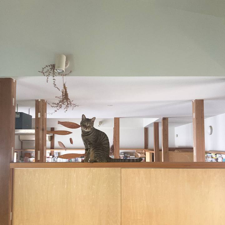 75ef6f52 e5e6 4cc0 af75 5c34b82da547 1692794213580