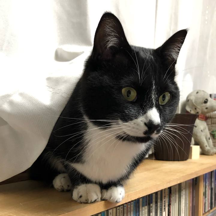 75ef96ed 3a0d 4121 8d6a 339c7c2320ff 1546832510418