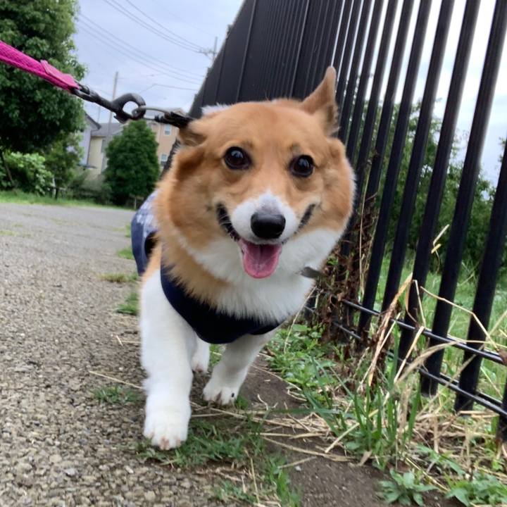 75efa042 1cf5 463c 9447 e71ae5cd2bf0 1561265197709