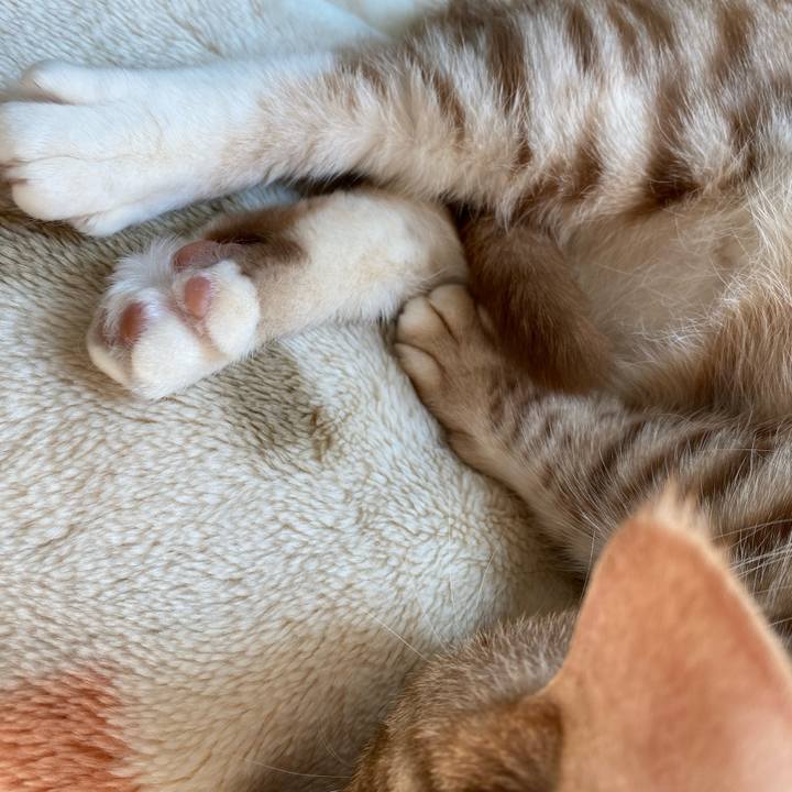 75efab29 7da9 4d04 892f 56c3e75106d8 1644556258519