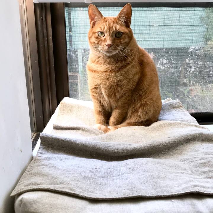 75efb0e1 c33d 4382 abd2 a55e8e8b9941 1510205194632