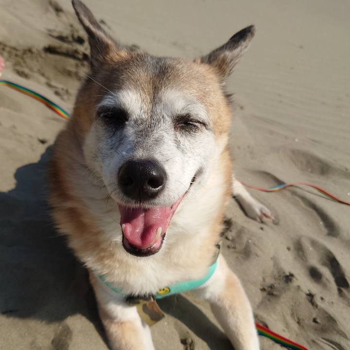 75efb110 797c 493f af73 a669987a9571 1666589457207