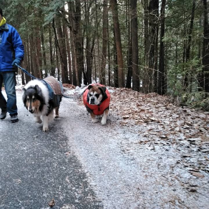 75eff823 d61d 4270 be22 8d3e116d9085 1549700387150