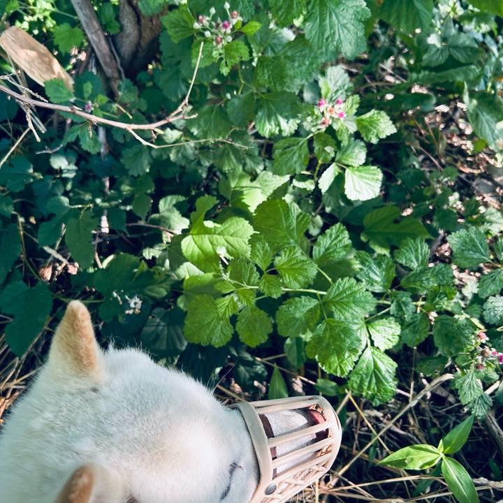 75eff84d 8951 47ce 8215 6bb40375f0da 1687729870868