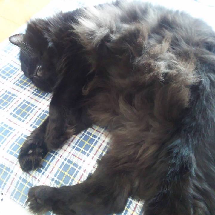 75effb81 5e6f 490f b891 8cbf43c06348 1511570571241