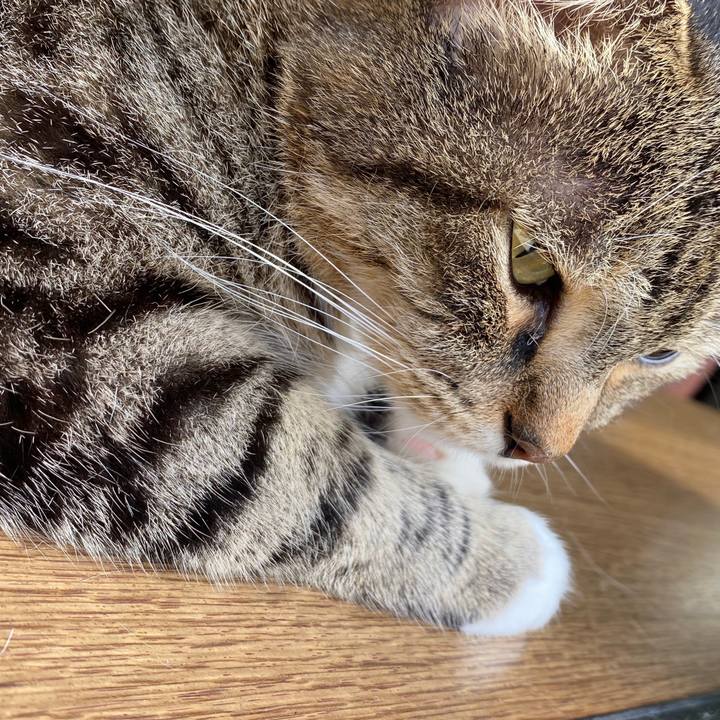 75f004ed b4c2 4686 ac80 7bf9b1b84efe 1595745581751