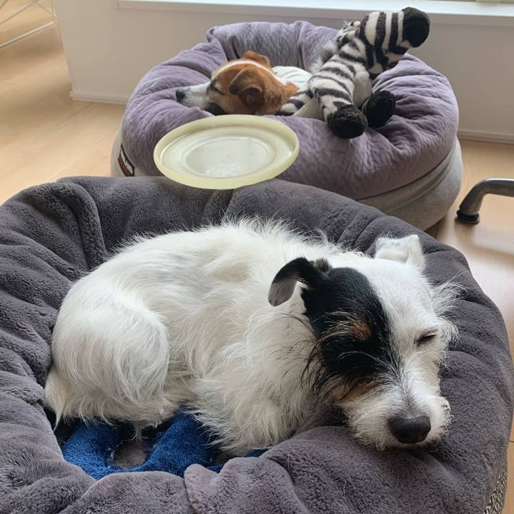 75f0300b b826 4444 82a0 644618e25530 1634002364791