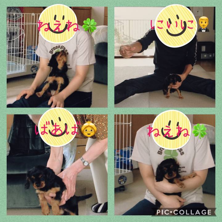 75f03e23 37df 4527 af6e 30f8687ea7d2 1599214106103