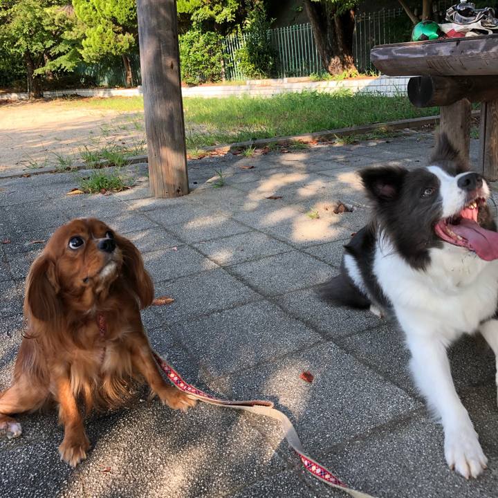 75f09846 cf96 4e98 a0a9 89caac28cf4f 1568593760332