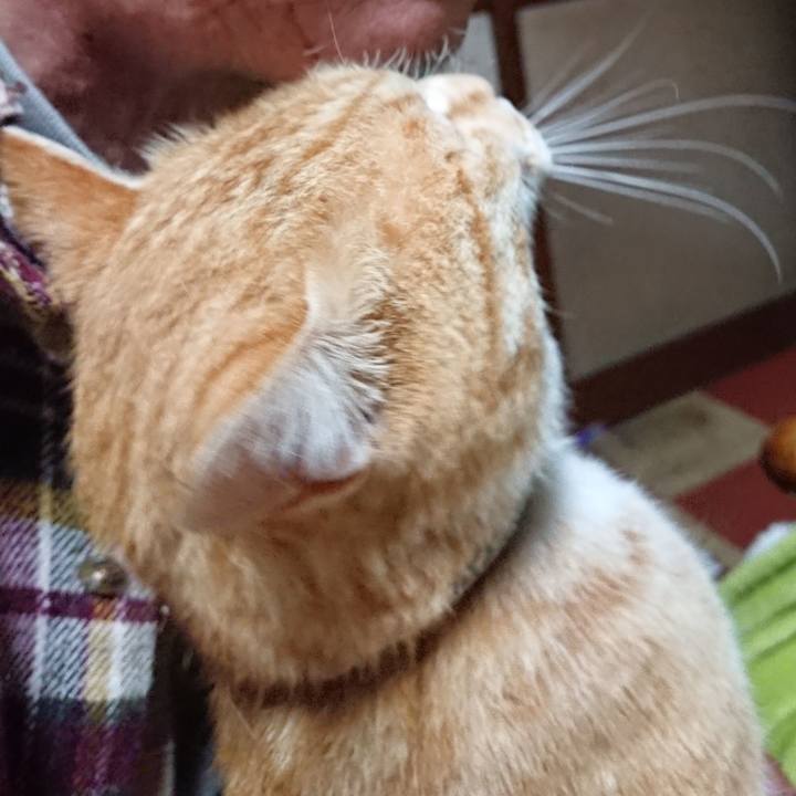 75f0a674 22aa 47aa aebd 12846d650893 1589062249397