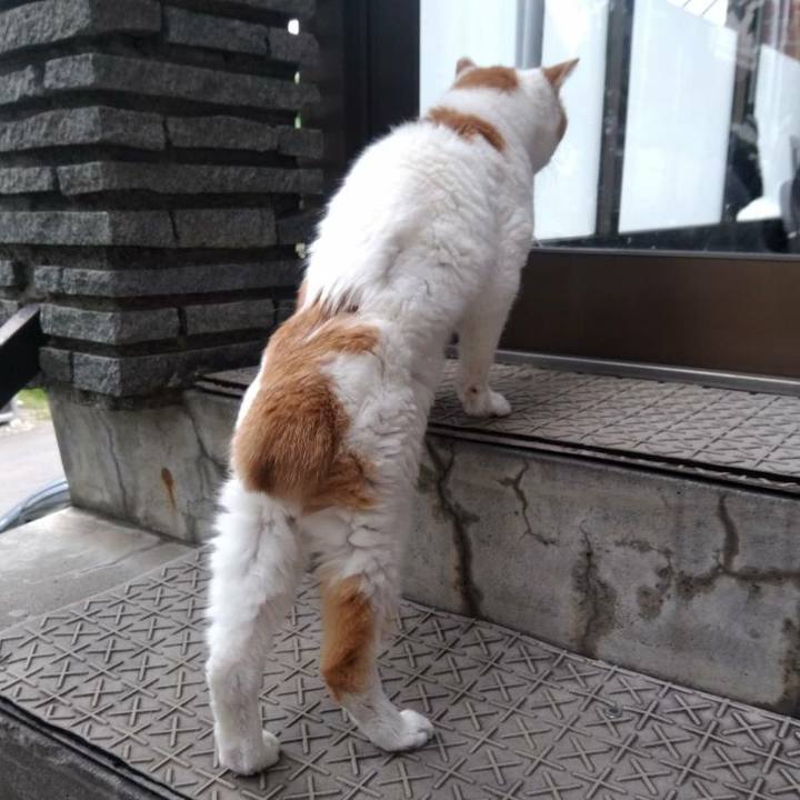 75f0ac27 830c 45ec 8d6c 5fb82def611b 1569119996816