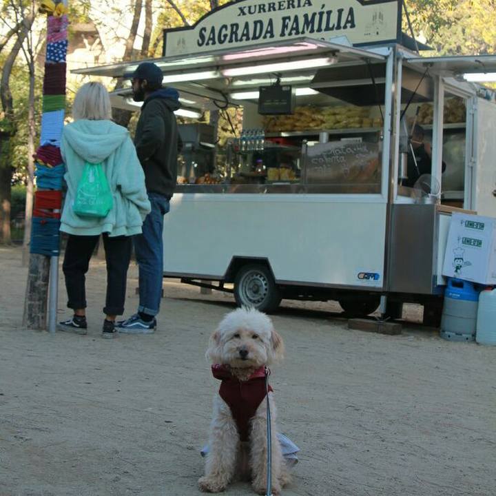 75f0dd13 cc16 4104 8562 ca9b962dcbaf 1576428674072