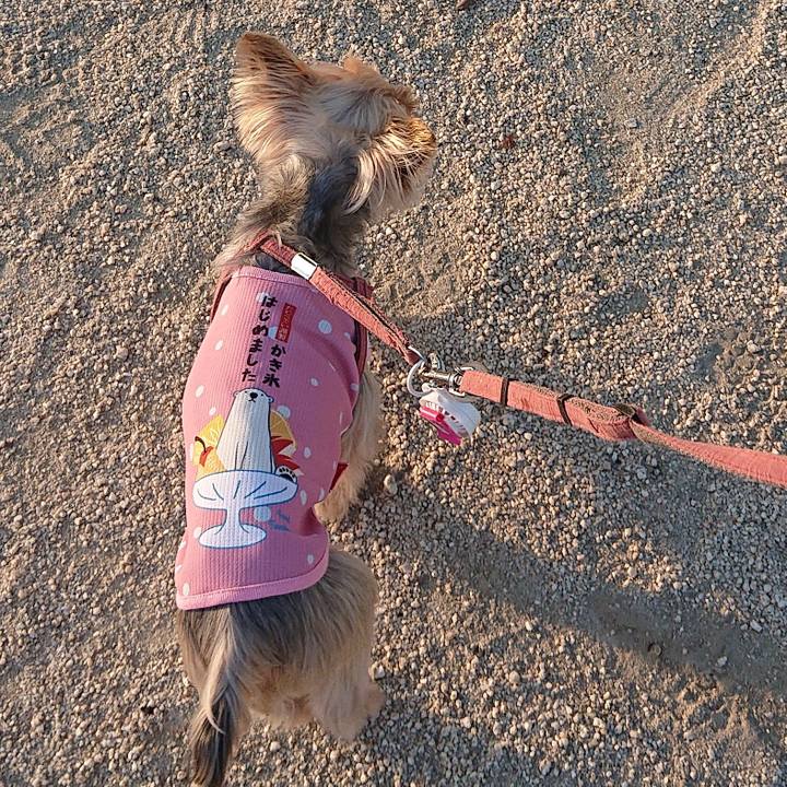 75f0e994 60d7 4b6d 9b68 234ec49a529c 1591678607909