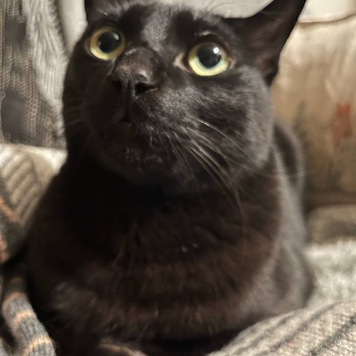 75f11dd9 8995 4f9f b4ef e9dd3635e494 1769612022000