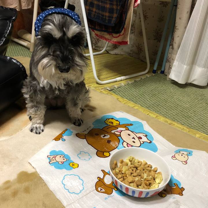 75f123ff fb01 4bfa aa38 ee97b1efa8b6 1525432834934