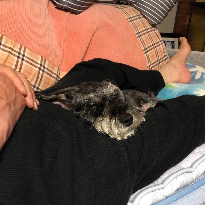 75f14f53 5bdf 4d9a 921f c90fb900346f 1686577428067