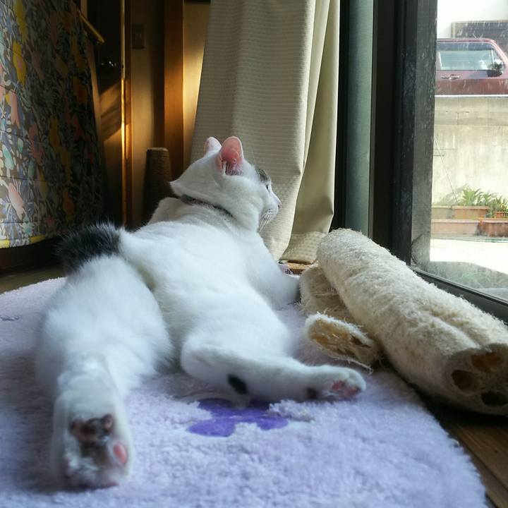 75f150f3 eeae 4eee 95a6 786fad449284 1526482708684