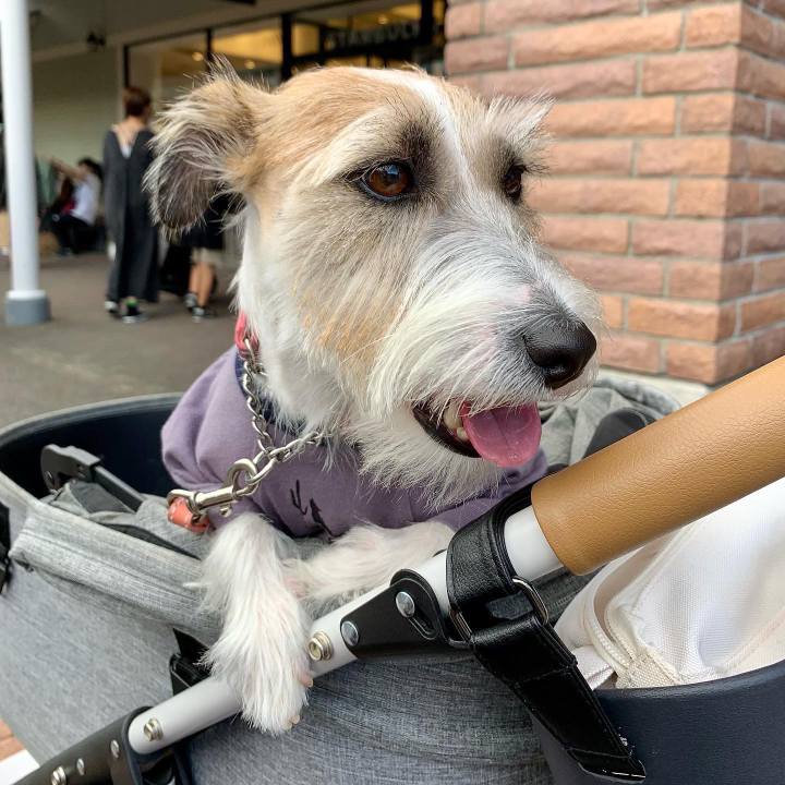 75f15fcc b548 4362 82fa e77423c1a31e 1666006711749