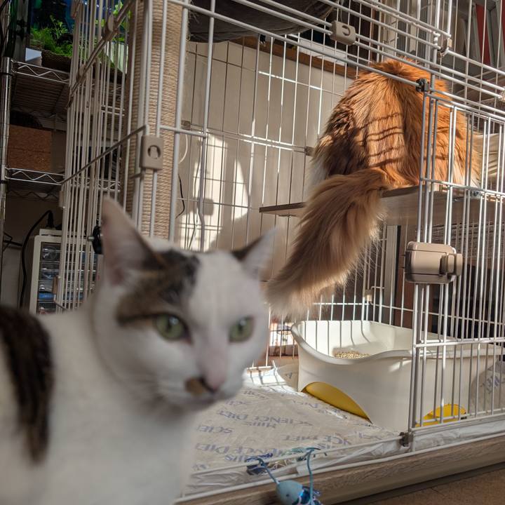 75f16b83 0953 452d 9f27 92697ade70c7 1739921412111