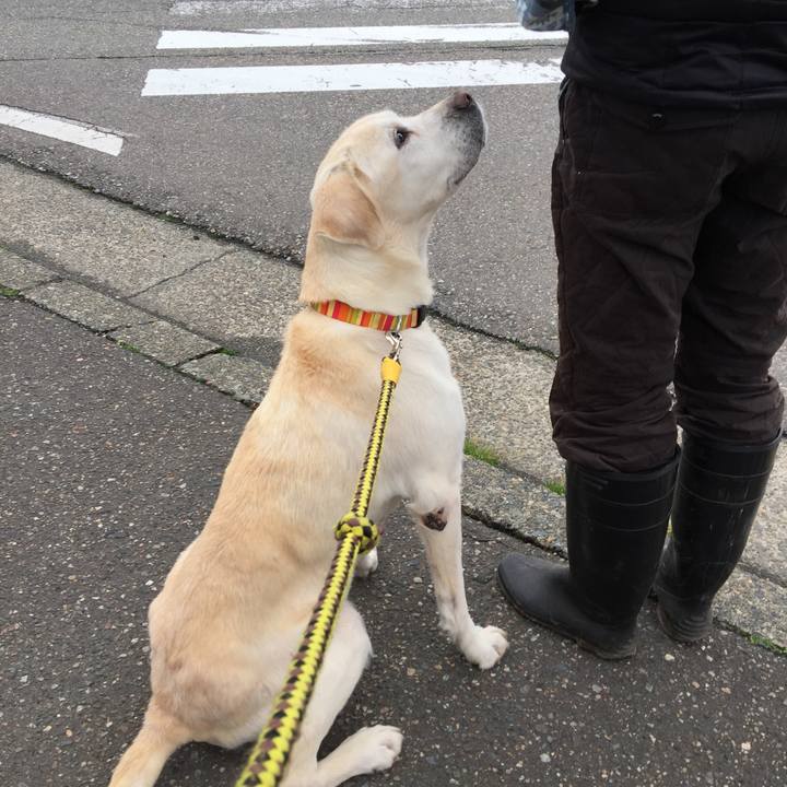 75f17525 37cf 4660 9c84 a104c7adafc2 1525853169560