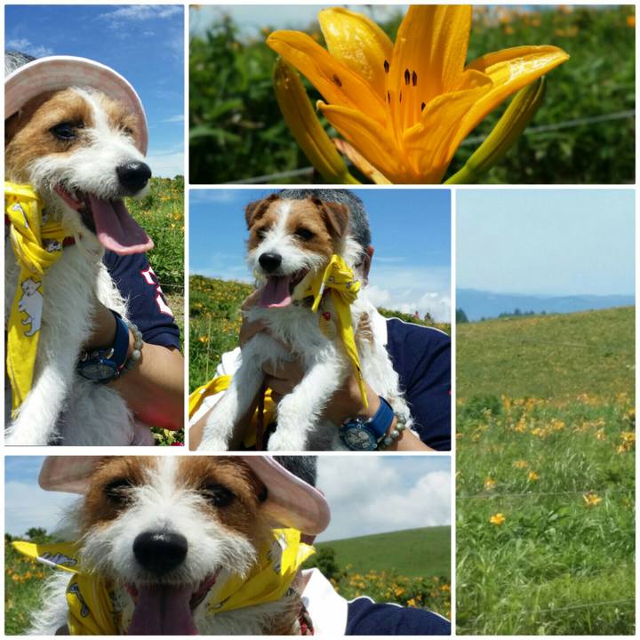 75f1971e 53bf 462f aa4a 9bf12016b33e 1531744784132